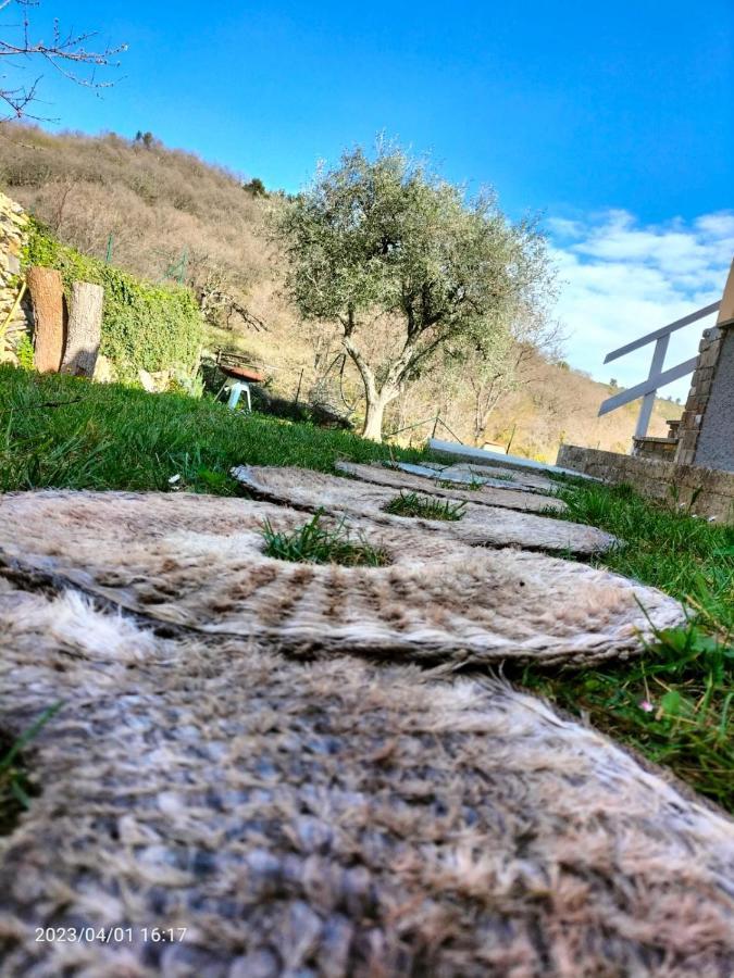 فيلا Casa Mari Pontedassio المظهر الخارجي الصورة